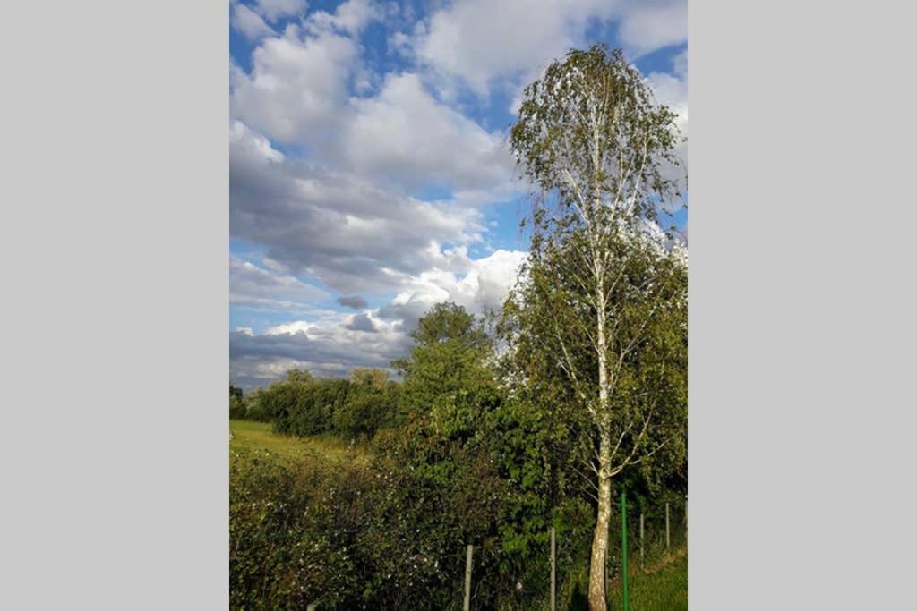 Entspannen Im Dorf Am See Zahren Exteriör bild