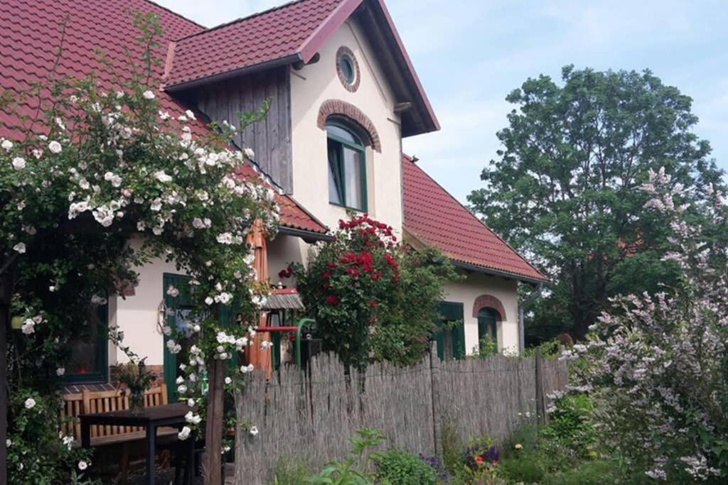 Entspannen Im Dorf Am See Zahren Exteriör bild
